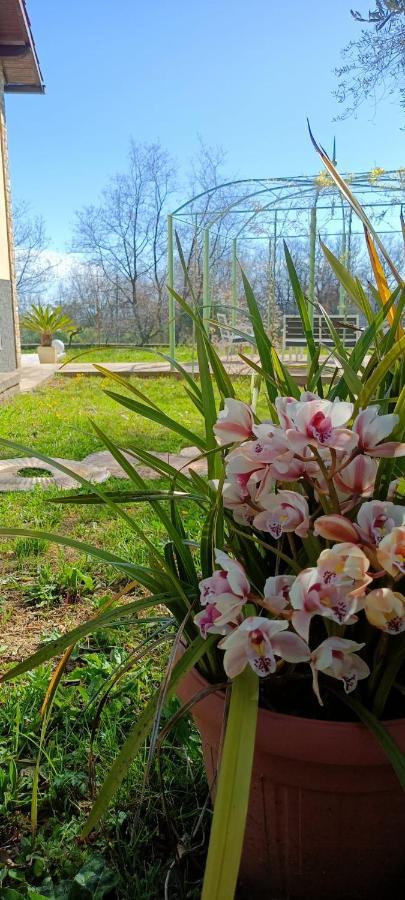 Casa Mari Villa Pontedassio Екстериор снимка